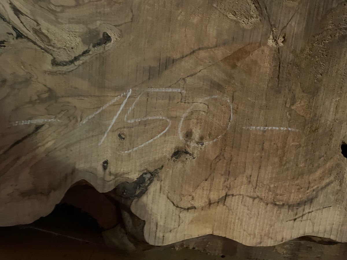 Articoli in legno: Nussbaum Scheibe – Nuovo (secondo la descrizione) da Reichenburg venduto da woodlov 1