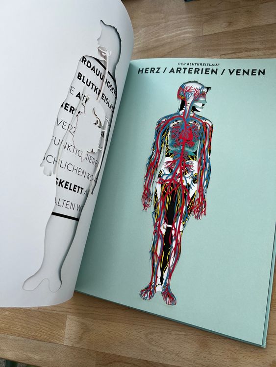 Libri: Kinderbuch Anatomie – Usato da Stadel venduto da avoegelifrei 2