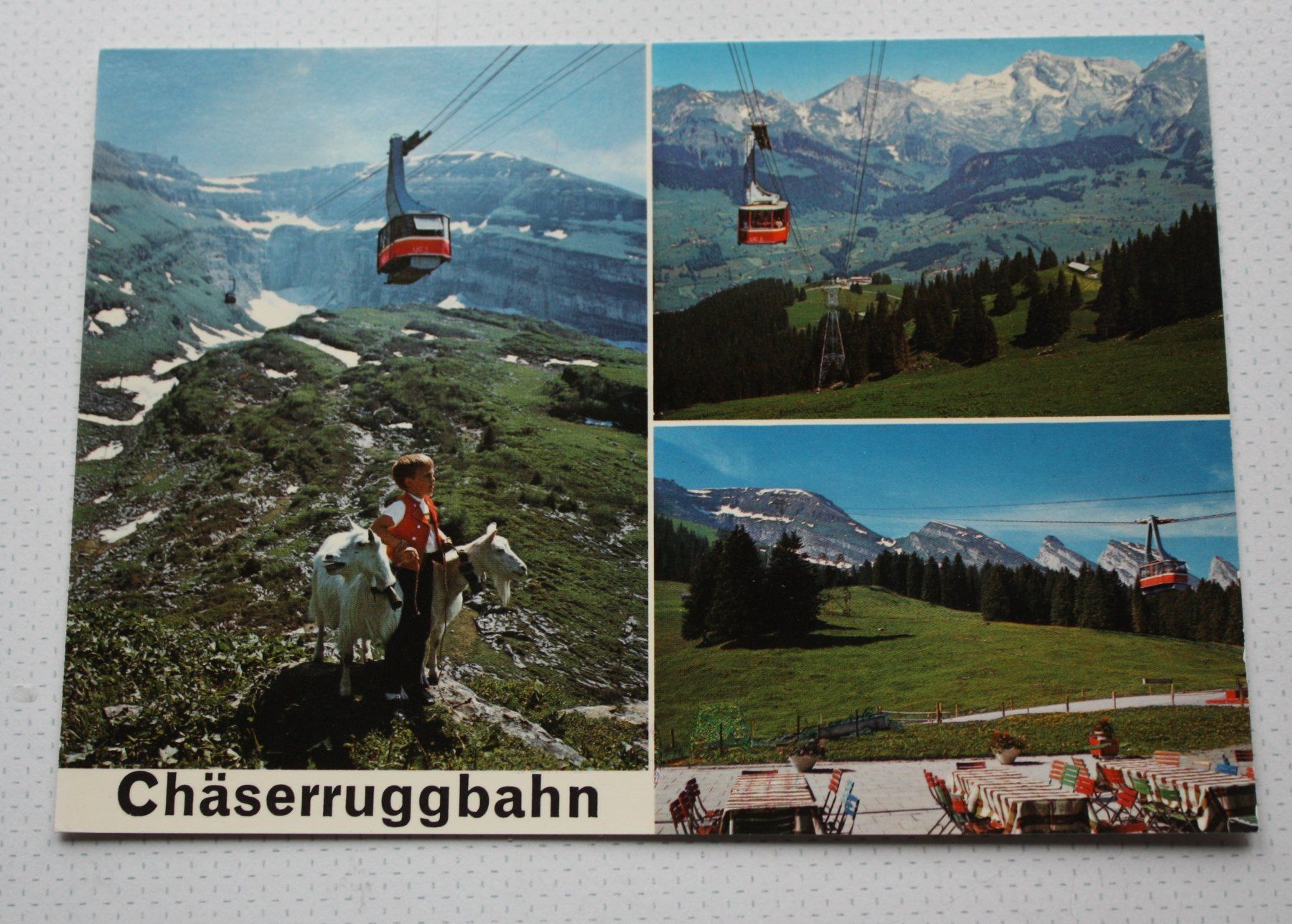Cartoline postali: Chäserruggbahn Ansichtskarte, seltene Version aus den 80ern – Nuovo e nell'imballaggio originale da Wettingen venduto da Licht08