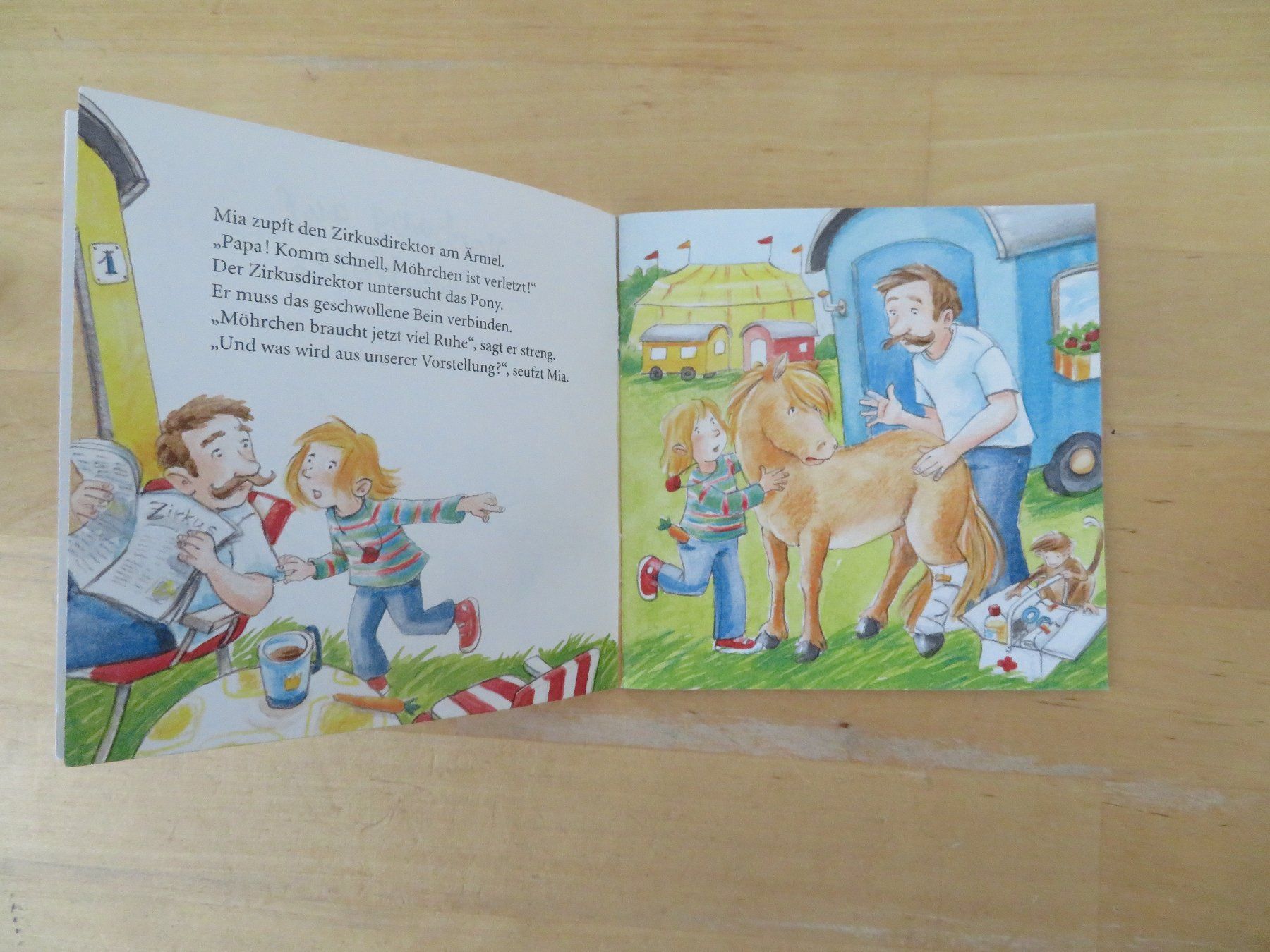Bücher: MEINE BÜCHERWELT Mini Bücher – Gebraucht aus Zürich von piroma 8