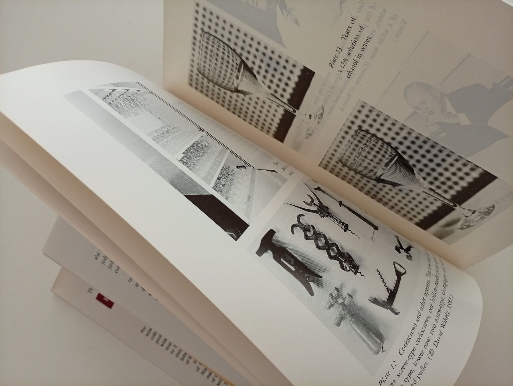 Livres: Wines. Their Sensory Evaluation – D'occasion à Locarno par edn.vintage 4