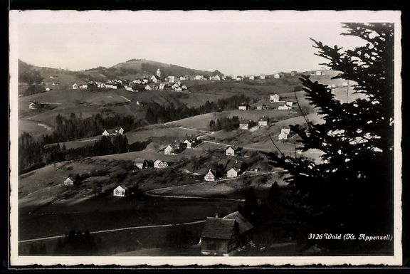 Cartoline postali: AK Wald /Appenzell, Ortsansicht – Usato da Berlin venduto da bartko-reher