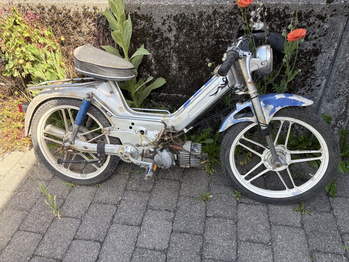 Puch Ciclomotori: Mofa Puch Maxi LG1 mit Ausweis – Difettoso da Latterbach venduto da Bbutz98