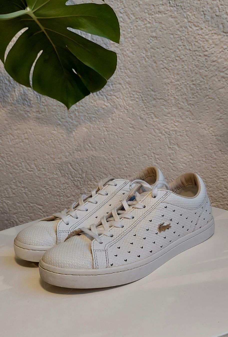 Lacoste Scarpe da donna: Lacoste Sneaker Gr 37 – Usato da Zizers venduto da toasty01 3