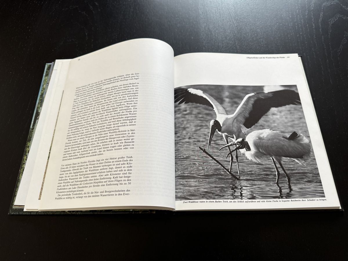 Bücher: Die Everglades von Florida – Gebraucht aus Erstfeld von Uhu1980 4
