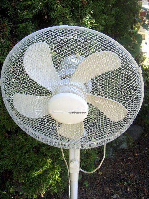 Ventilateurs: 😊Ventilator Standventilator – D'occasion à Stehrenberg par AB-C 1