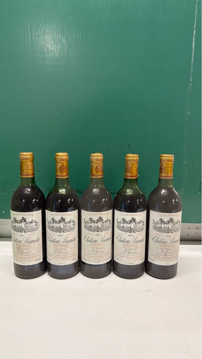 Wein: 5 Flaschen Wein Chateau Branda1983 Bordeaux – Gebraucht aus Hünibach von houi14