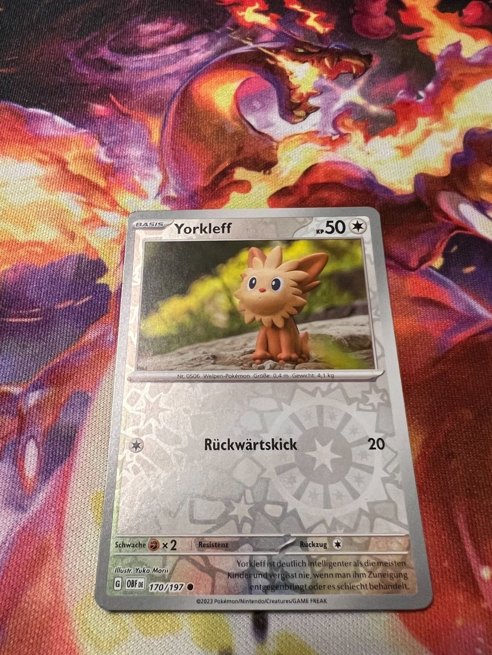 Pokémon Carte collezionabili: Yorkleff (OBF 170) / Reverse Holo / Obsidianflammen – Nuovo (secondo la descrizione) da Bülach venduto da CherryBlu