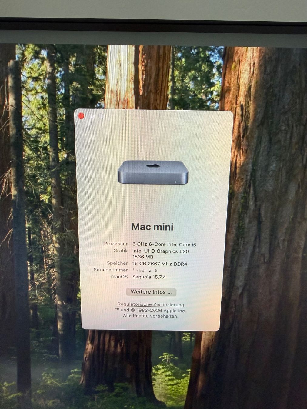 Apple PC: Mac mini Intel i5 6-Core, 16 GB RAM, 512GB SSD – Usato da Grüsch venduto da Speed_demon 1