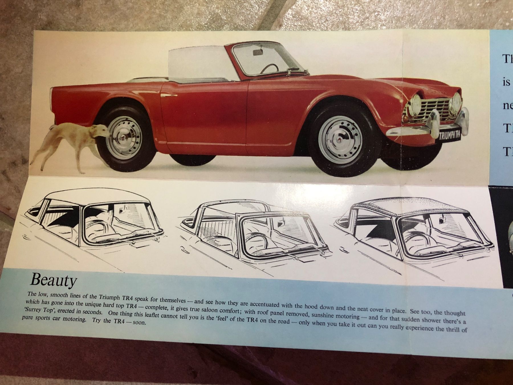 Triumph Documenti: Triumph TR4 – Usato da Morrens VD venduto da kawah2 5