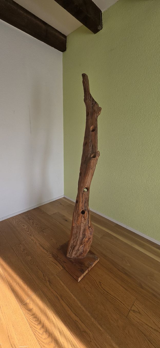 Pfister Weingestelle & -ständer: Weinhalter – Gebraucht aus Worblaufen von tha_9dwb