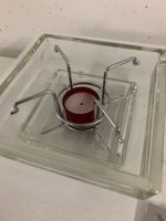 Praktischer Glas Tellerwärmer / Rechaud