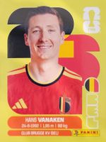 Panini FIFA World Cup BEL 14