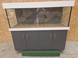 Aquarium Kombination 546 L