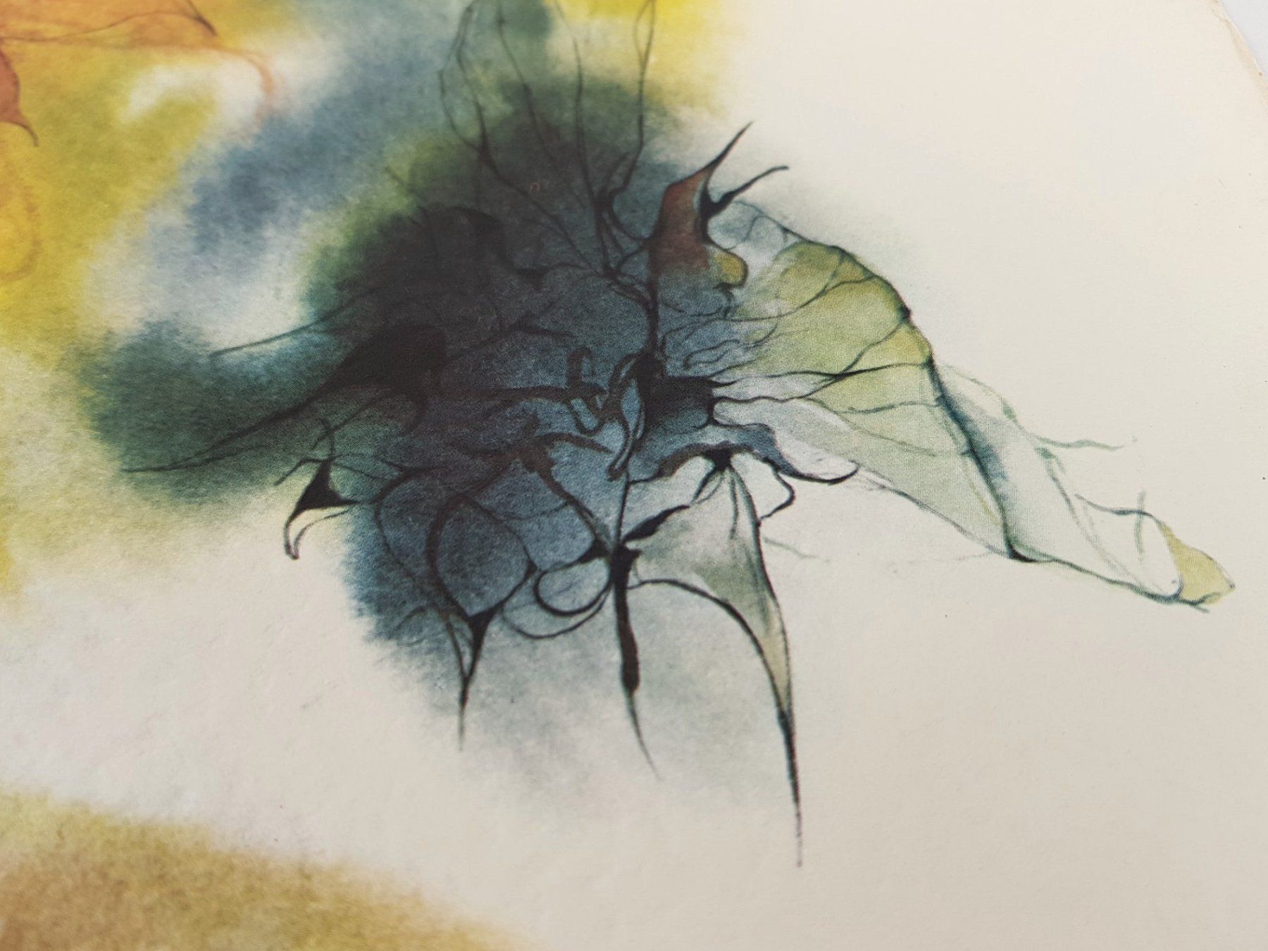 Foto & Immagini: Kunstdruck hochwertig "Meyer-Gasters" Sonnenblume – Usato da Suhr venduto da Restwert_Suhr 3