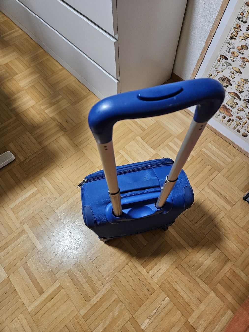 Delsey Valigie: Handgepäck blau – Usato da Rothrist venduto da Monadal 3