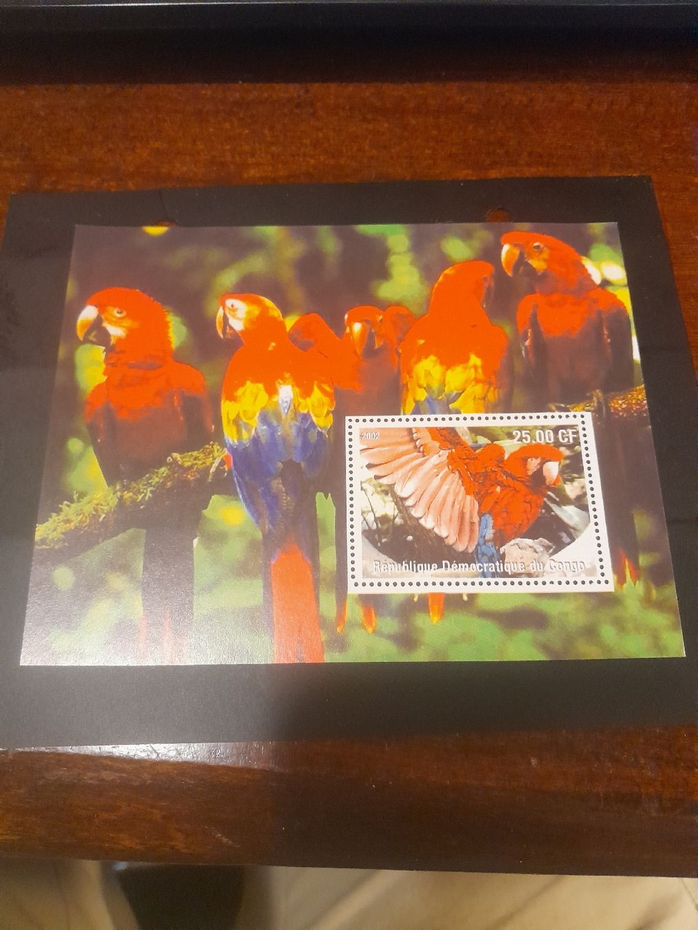 Tutti i francobolli: République Démocratique du Congo timbre rare, oiseaux – Nuovo (secondo la descrizione) da Marly venduto da globetrotter1723