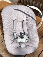 Trip Trapp new born seat