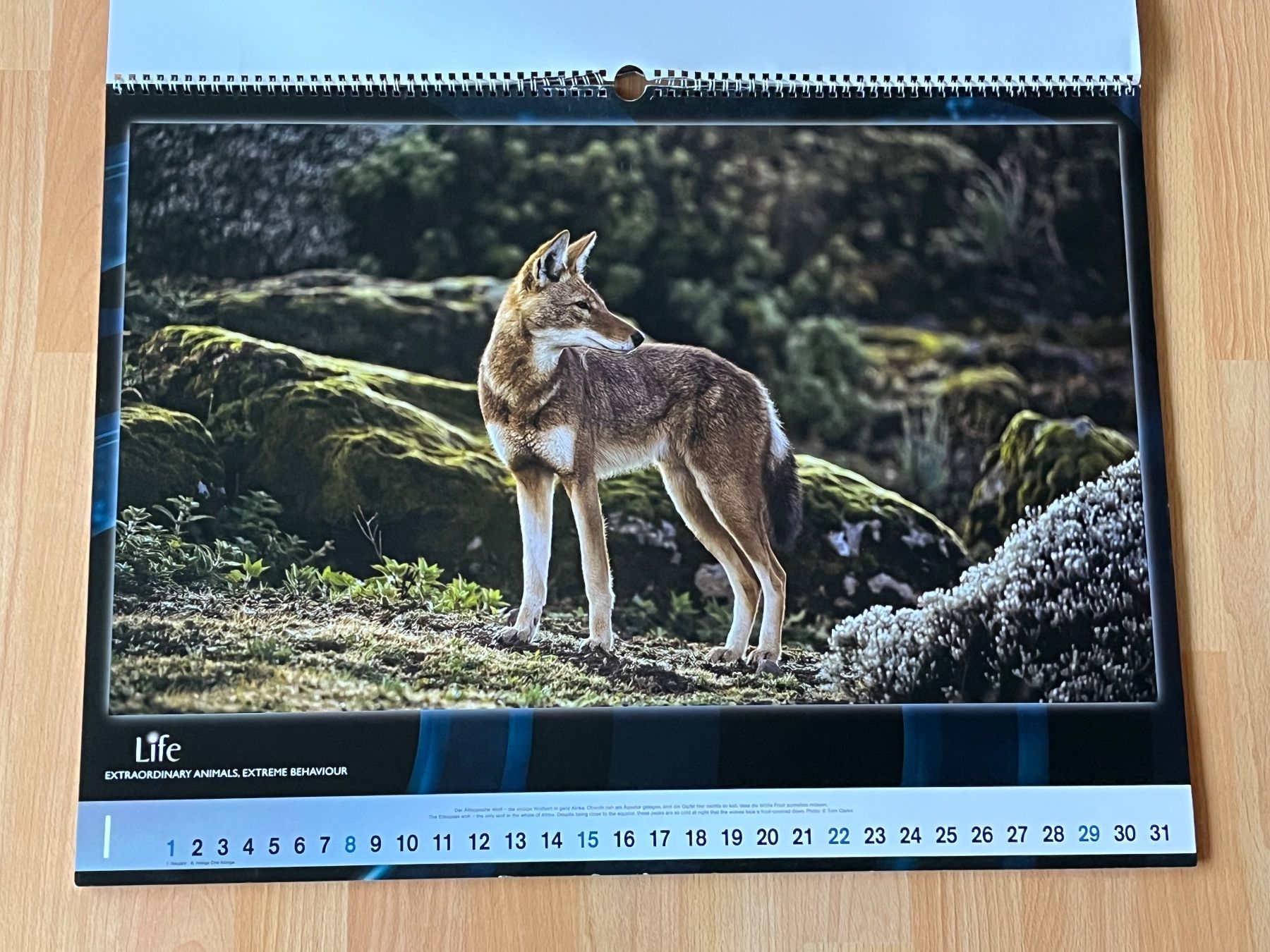 Kalender: Kalender "Life: Extraordinary animals/extreme behaviour 2012 – Gebraucht aus Uetendorf von sru128 1