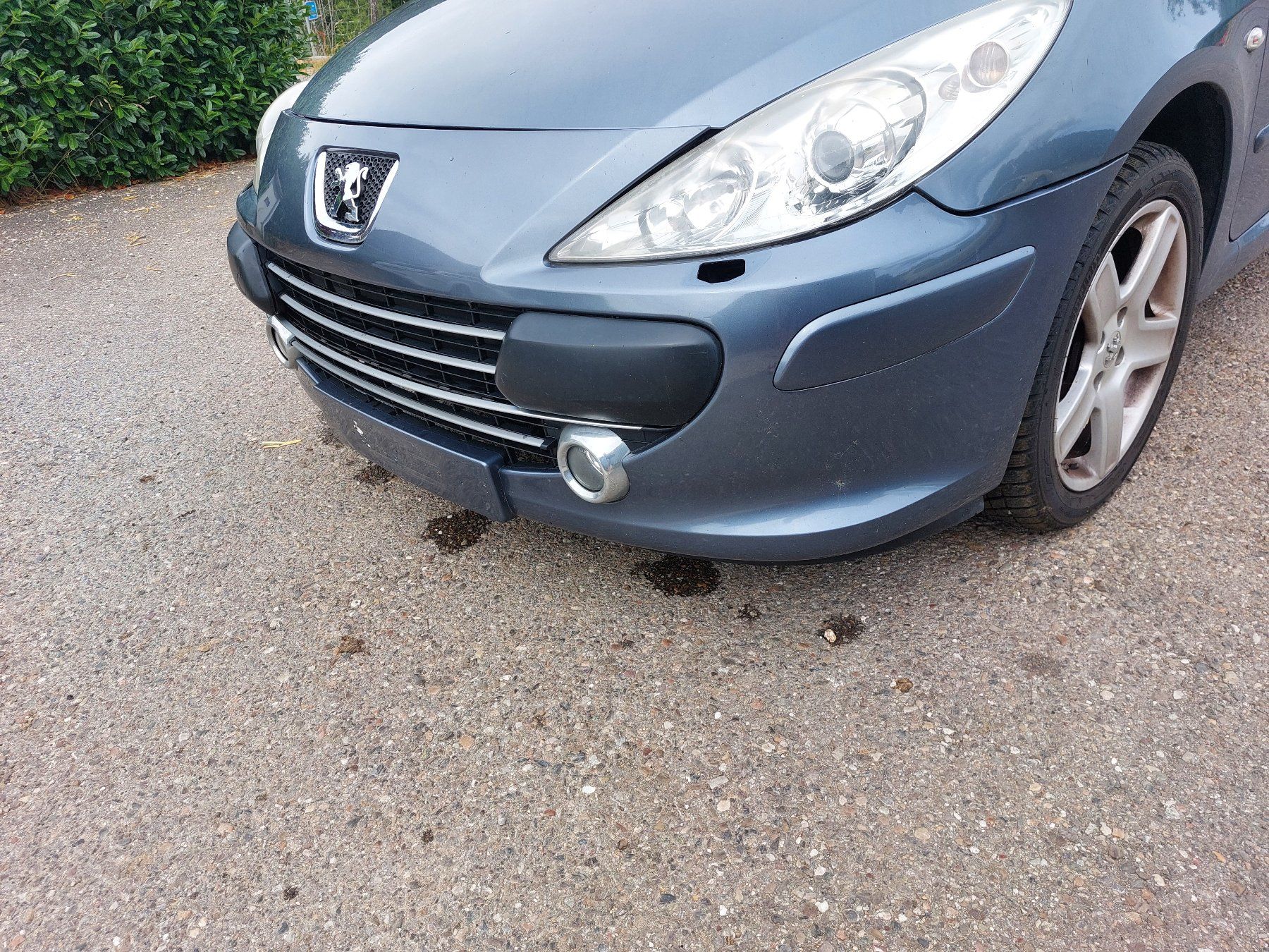 Peugeot Autos: Peugeot 307, 2.0i – D'occasion à Himmelried par Garolf 5
