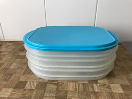 Tupperware     Traiteur 4 Teile