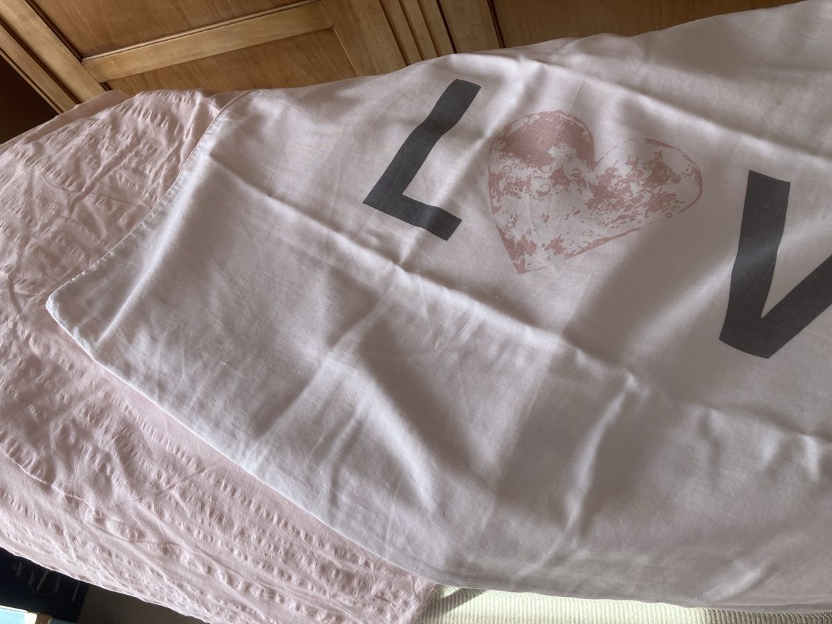 Manor Biancheria da letto: Housse de couette + housse de traversin – Usato da Pully venduto da claddagh