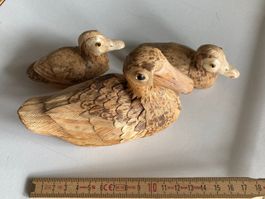 Enten, Entenmutter, 2 Entenküken