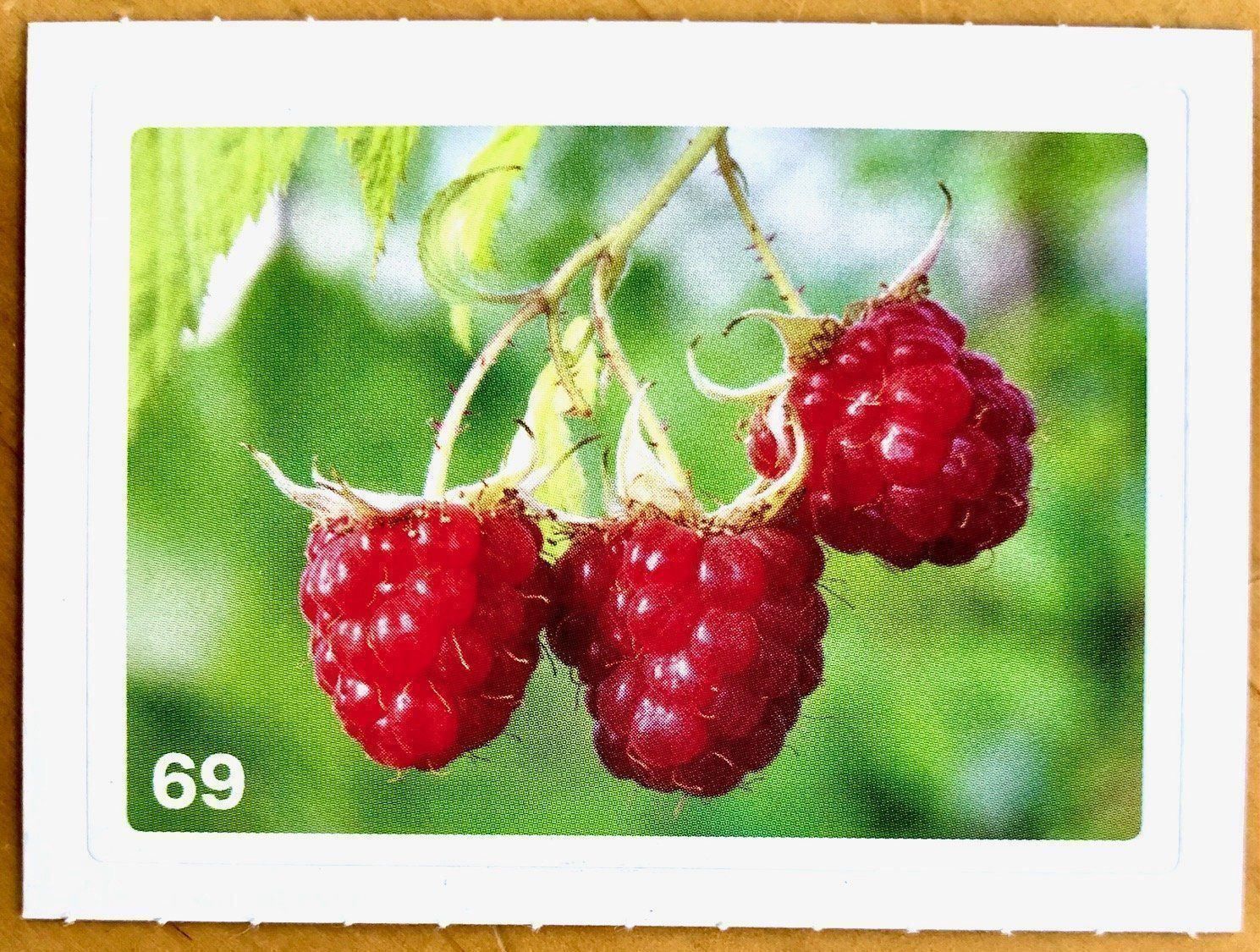 Migros Carte collezionabili: Migros Nature Detectives - Bild Nr. 69 – Nuovo (secondo la descrizione) da Oberrieden venduto da Zimmerberg10