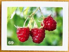 Migros Nature Detectives - Bild Nr. 69