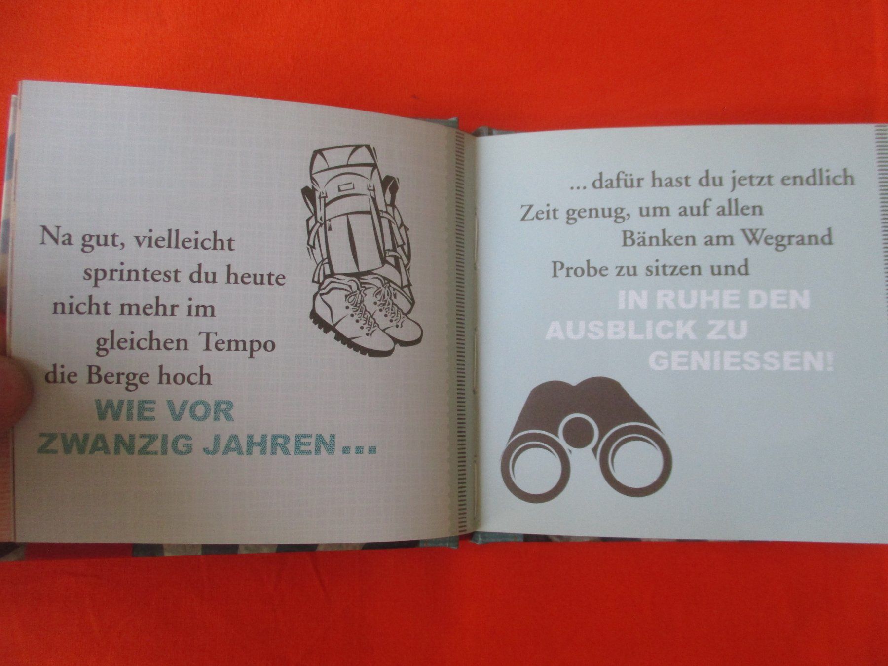 Libri: Buch Ruhestand, Groh verlag – Usato da Birsfelden venduto da alles-muss-raus 1
