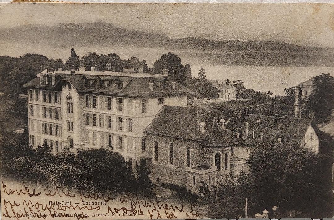 Ansichtskarten: LAUSANNE - Bois-Cerf - 1906 – Gebraucht aus Delémont von Domdom1