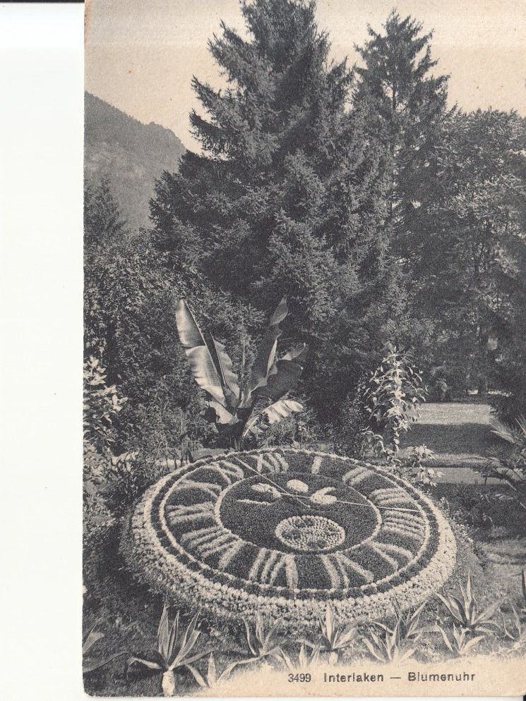Cartoline postali: Interlaken Blumenuhr ca. 1910 – Usato da Bürglen TG venduto da StampGraf