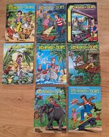 Ringgi + Zofi Kinderbücher, 8 Bände, tolle Lektüre