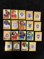 19 Panini WM Sticker