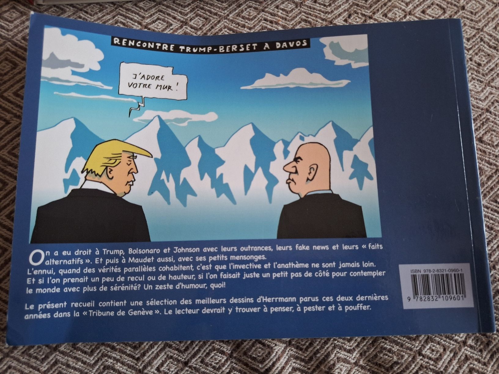 Libri: Livre Herrmann, Tout Baigne ! – Usato da Genève venduto da lis_hw8n 2