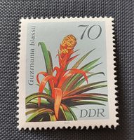 DDR 1988 blumen briefmarke