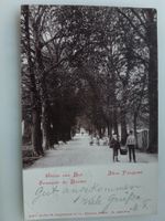 Gruss aus Biel, Souvenir de Bienne Allée Pasquart 1901