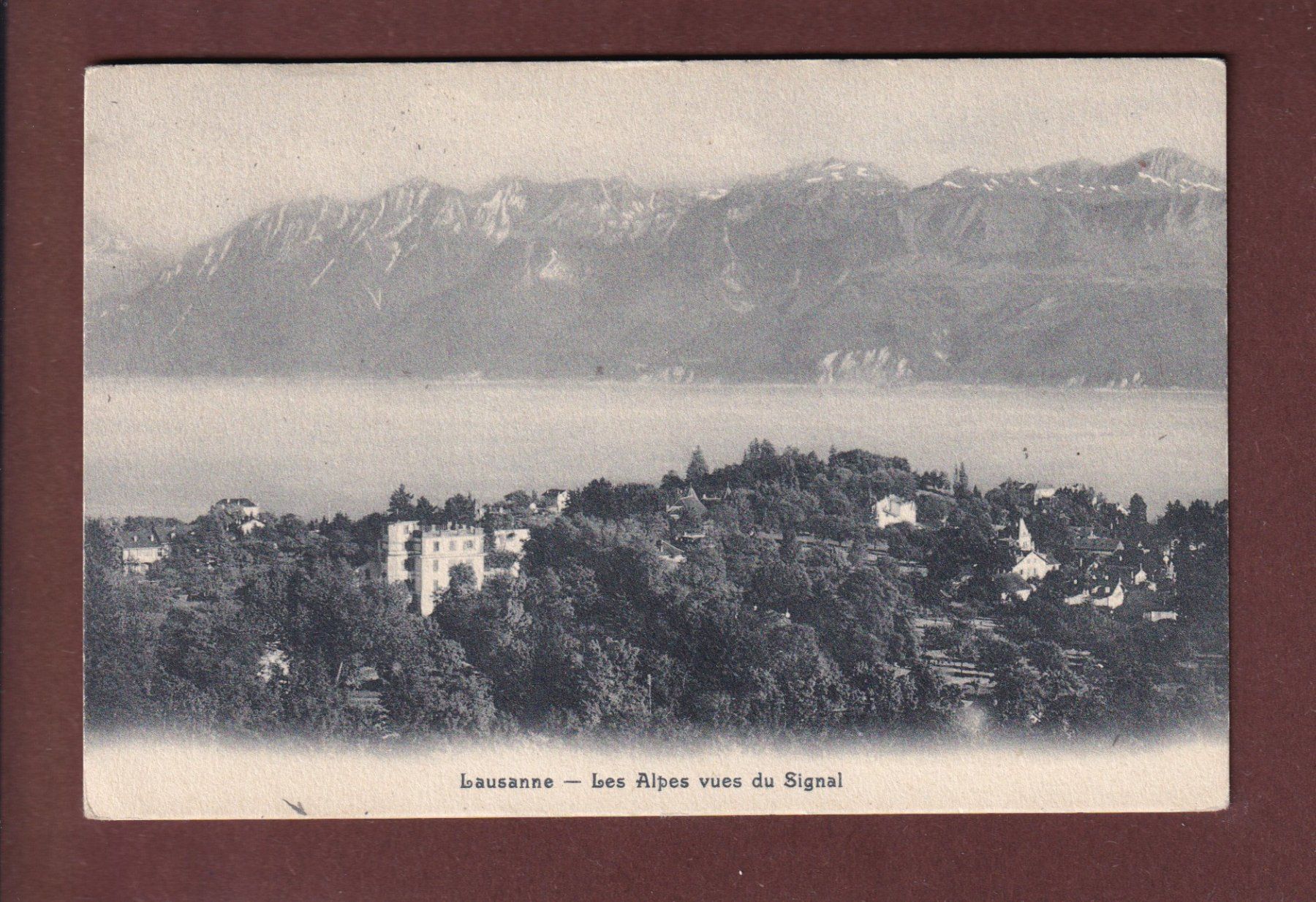 Cartes postales: LAUSANNE - Vue du Signal – D'occasion à Pully par nicecards