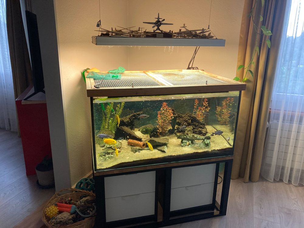 Aquarium gebraucht 350 lt Kaufen auf Ricardo