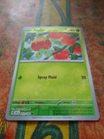 POKEMON  Applin   H  SCR EN  012/142   HP40  2024