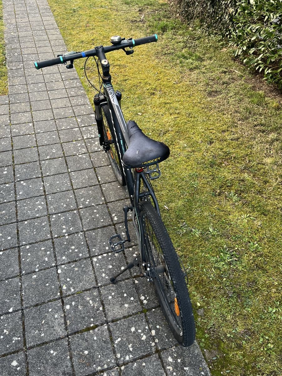 Phoenix Biciclette: Phoenix Velo – Usato da Sarnen venduto da flo_25mp 3