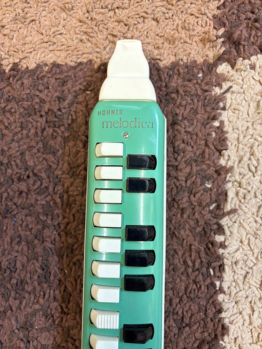 Hohner Instruments de musique: Hohner Melodica mit Etui – D'occasion à Wiesendangen par plus-minus 1