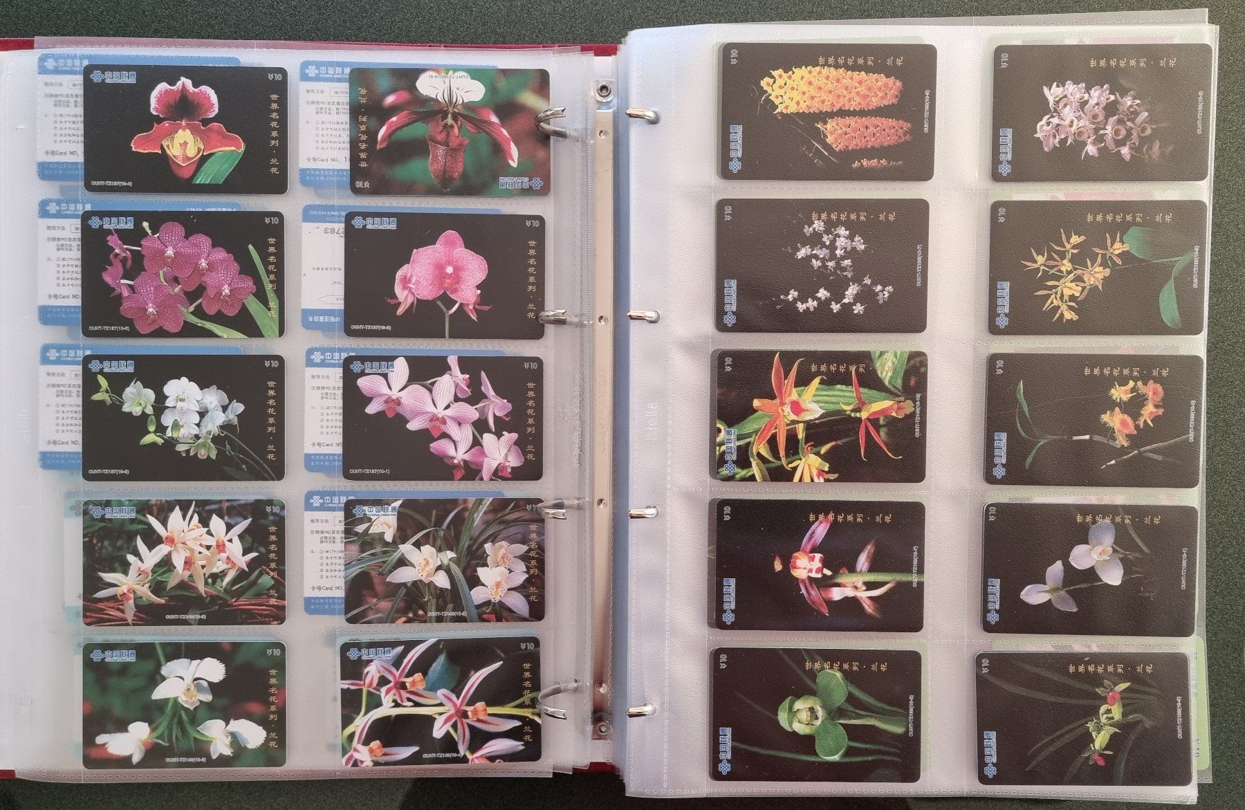 Album: Album 1 Telefonkarten Orchideen – Usato da Lostorf venduto da Dalbi 2