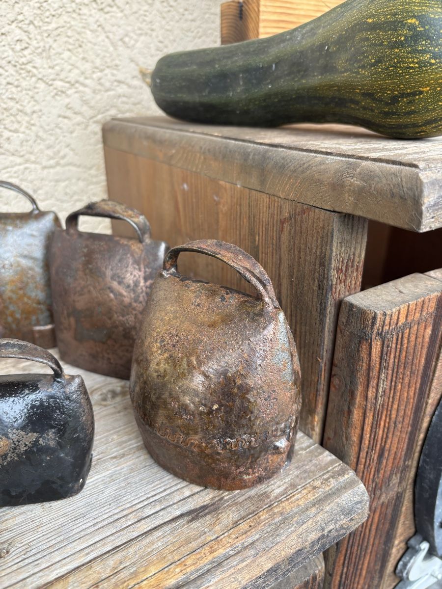 Campanacci mucche: 10 Alte Treicheli – Usato da Schangnau venduto da Roseggli82 4