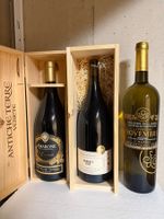 🍷 CAVE À VIN – LOT COMPLET – 3 MAGNUMS + VINS DE BORDEAUX,