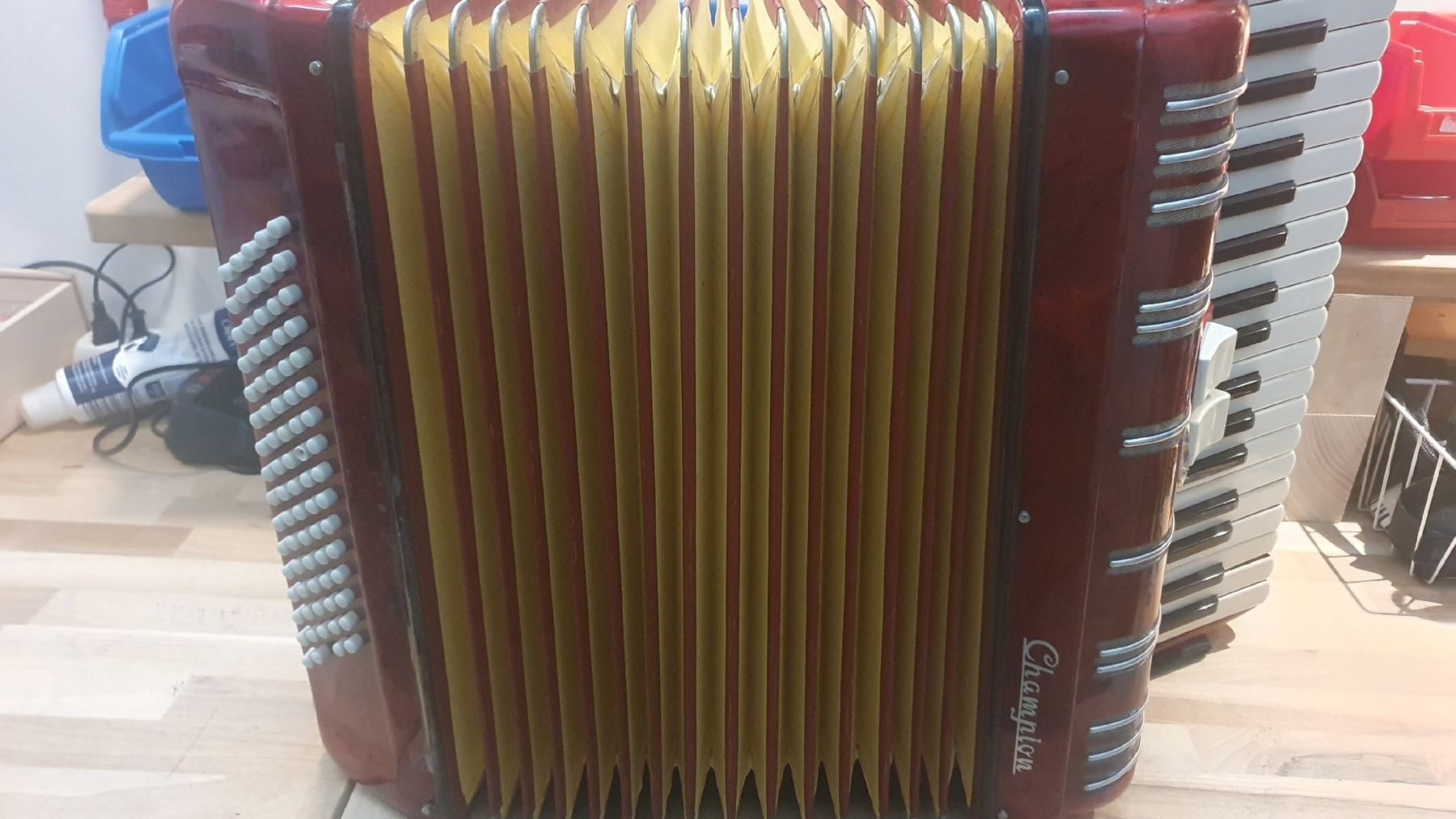 Strumenti musicali: Akkordeon der Marke Champion – Usato da Rafz venduto da YEL01 1