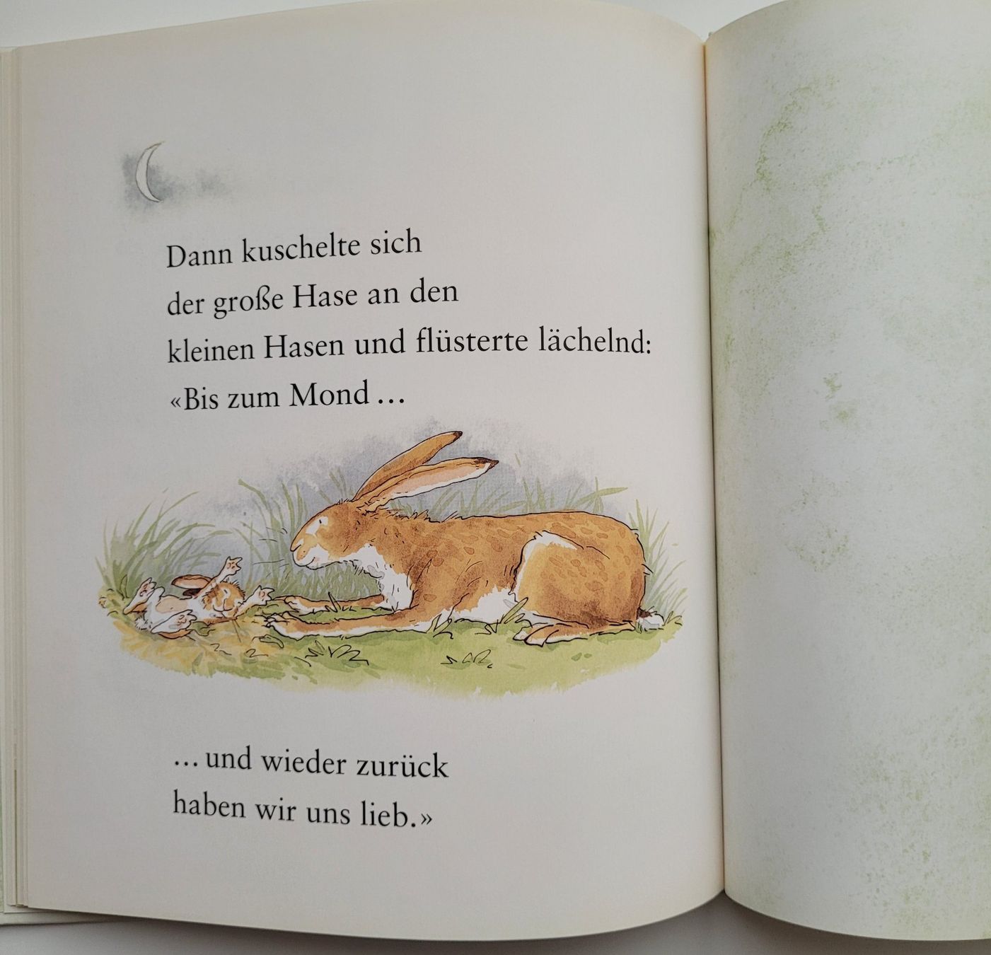 Libri: Weisst du eigentlich, wie lieb ich dich hab? – Usato da Würenlos venduto da Felisha 8