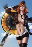 Blechschild-AIR FORCE PIN UP GIRL