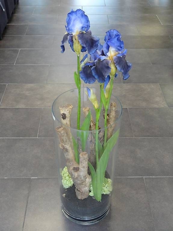 Tutte le decorazioni: Iris im Glas (Seide) – Nuovo (secondo la descrizione) da Steffisburg venduto da Nickyspatz