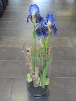 Iris im Glas (Seide)